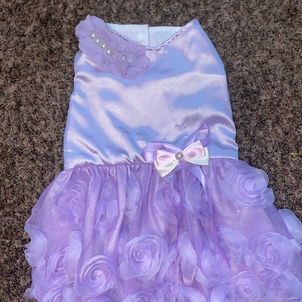 Cute purple dog dress